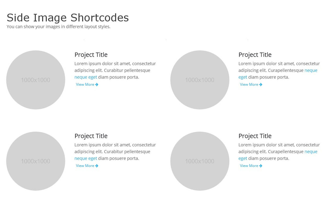 เว็บไซต์สำเร็จรูป shortcodes sideimage