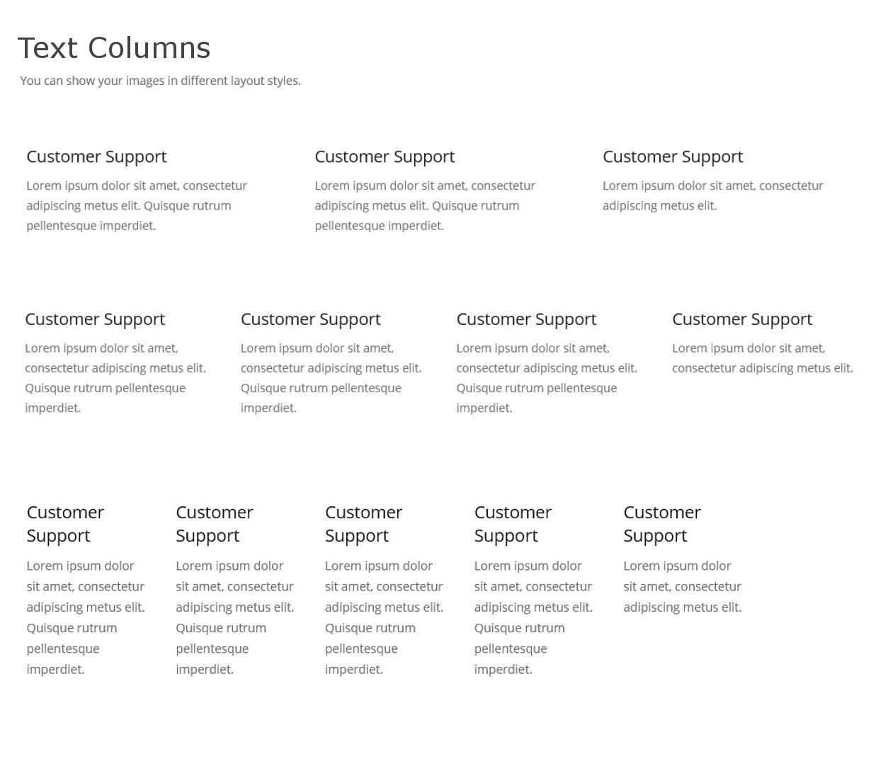 เว็บไซต์สำเร็จรูป shortcodes -text column