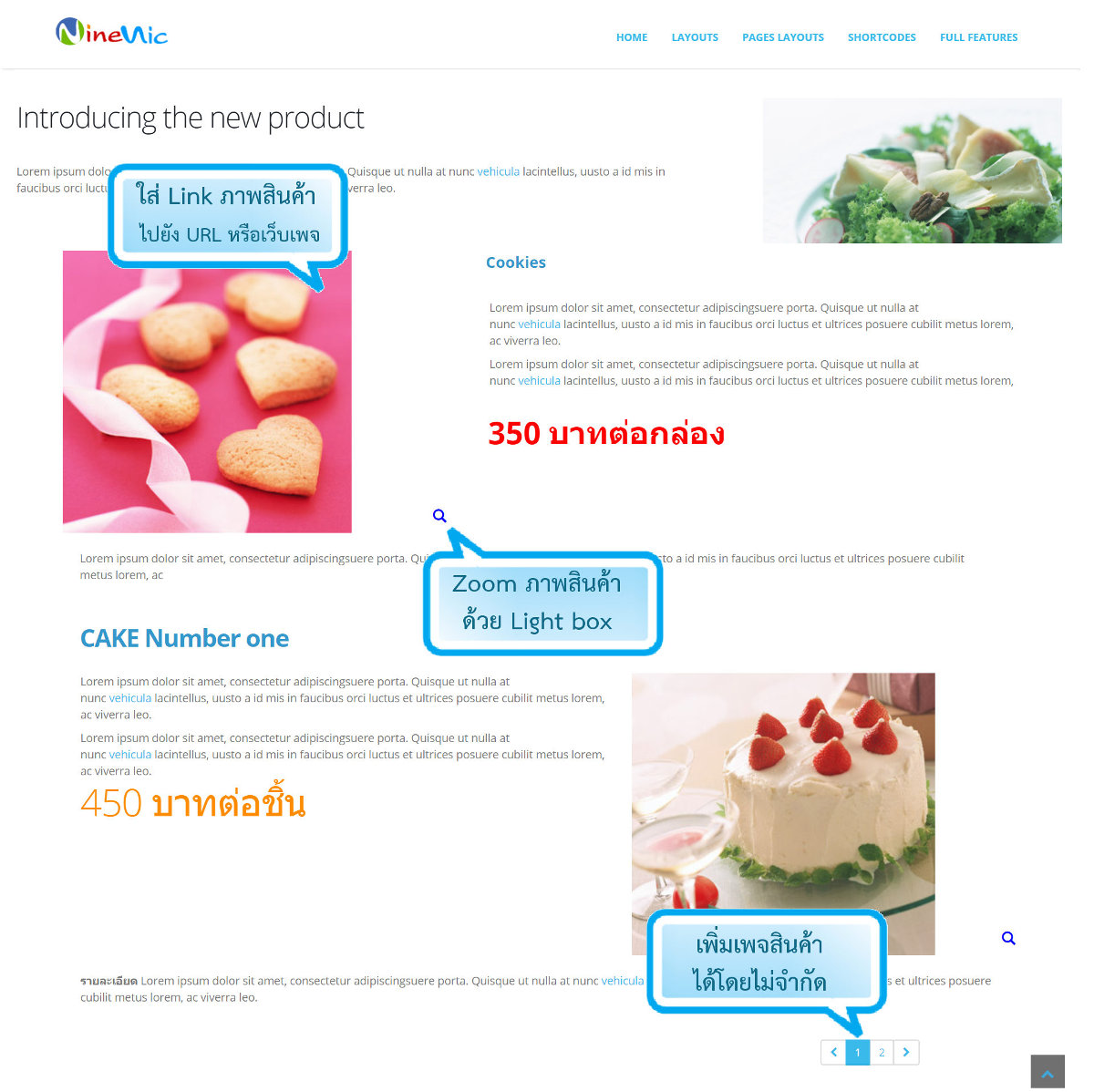 เว็บไซต์สำเร็จรูป-layout-แคตาล็อกสินค้า /Product catalog